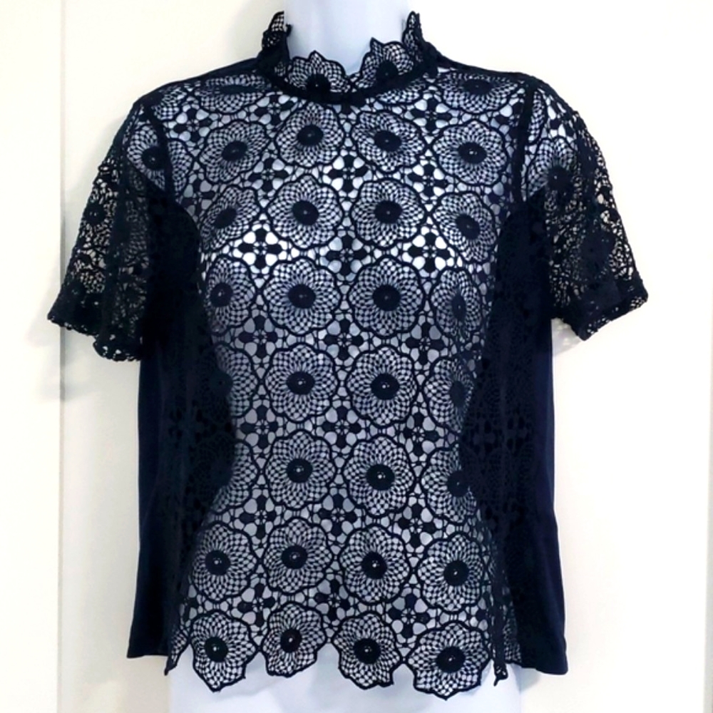 Topshop Sheer Lace Top
